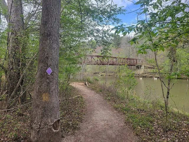 Atlanta Fat Ass 50K — photo de la course