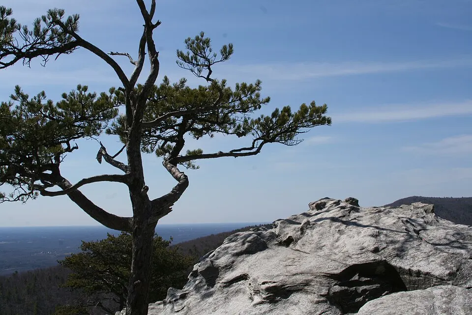 Pilot Mountain to Hanging Rock Ultra — foto de la carrera