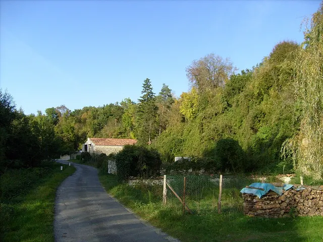Paleotrail Laufbild