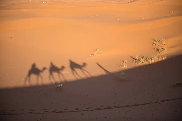 Marathon des Sables 2027 (Legendary Edition) — foto da prova