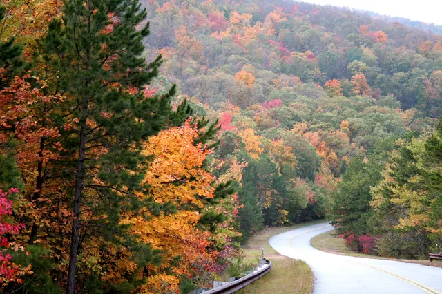 Athens Big Fork Trail Marathon & 17 Mile Fun Run — foto de la carrera