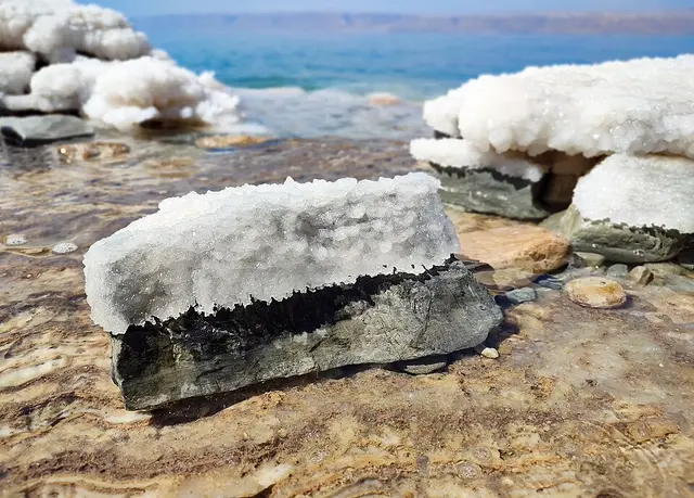 Ảnh giải Dead Sea Ultra Marathon