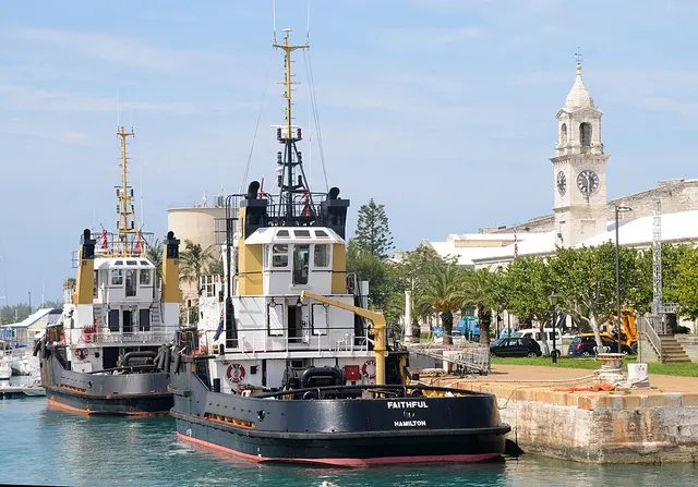 Chubb Bermuda Triangle Challenge — foto de la carrera
