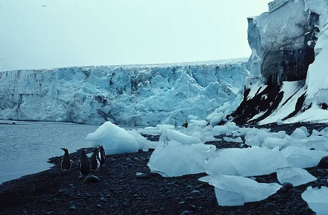 Antarctica Marathon®, Half-Marathon and Ultra-Marathon race photo