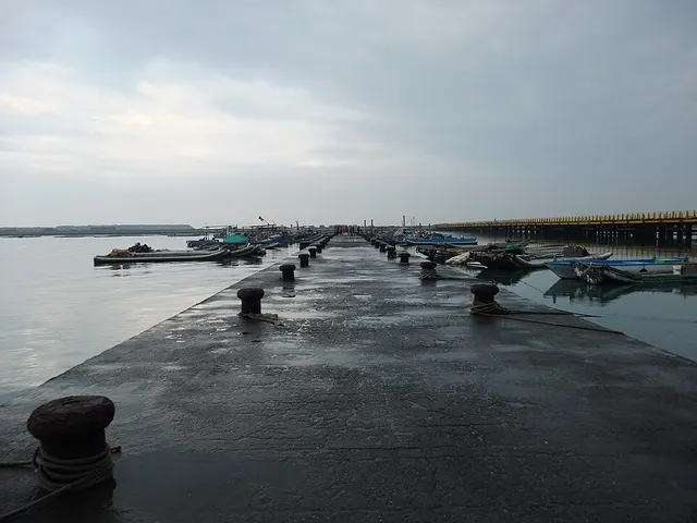 2026虎馬第八屆全國烤雞馬拉松 — photo de la course