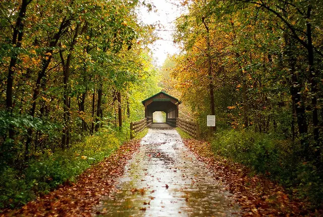 Mo Fall Laufbild