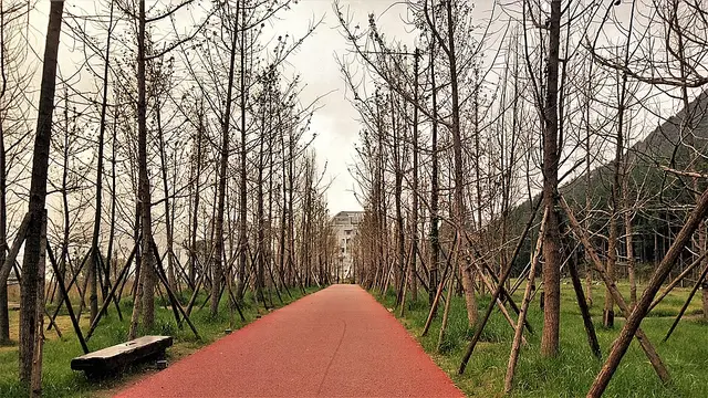 WSE 10KM 오픈 류판수이 스테이션 대회 사진