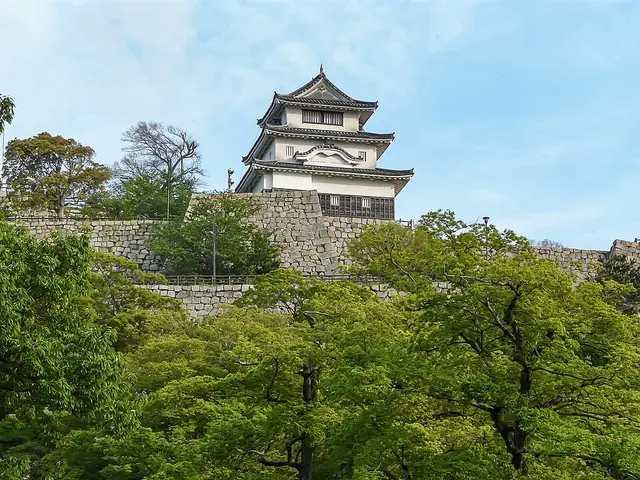 香川县丸龟国际半程马拉松 赛事照片