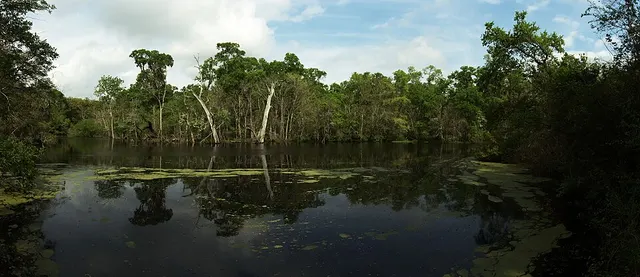Ảnh giải Brazos Bend 100