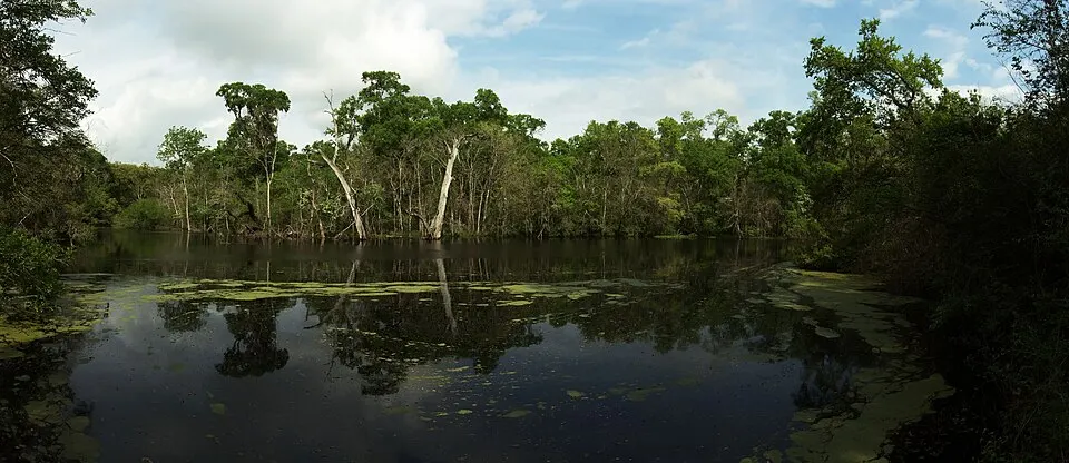 Ảnh giải Brazos Bend 100