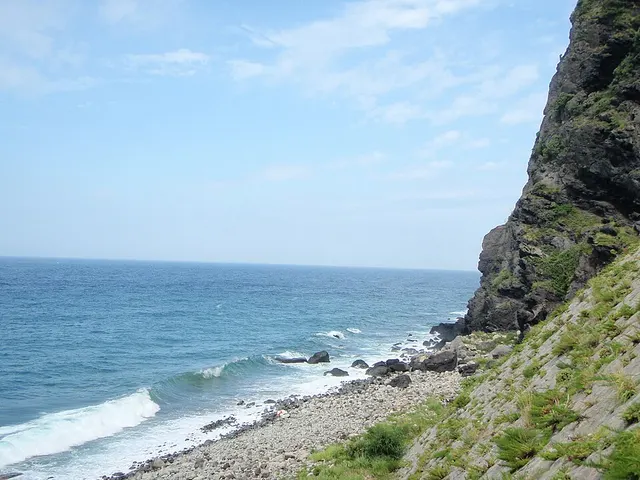 Ulleungdo International Trail Running race photo
