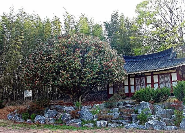 세이브더칠드런 국제어린이마라톤(나주) 대회 사진