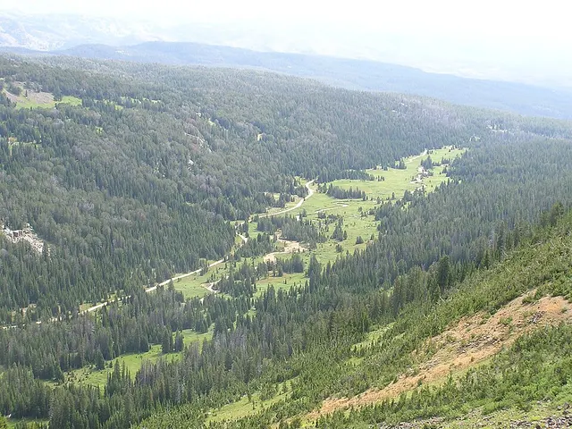 Prospector's 50k | 30k race photo