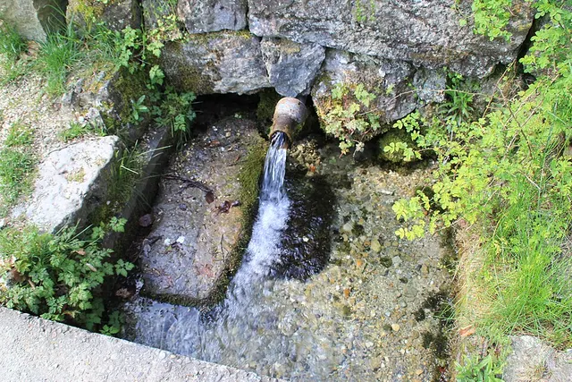 Eselsburger-Tal-Lauf — photo de la course
