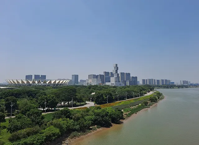 2026 Foshan Liangjiang Reisfeldmarathon Laufbild
