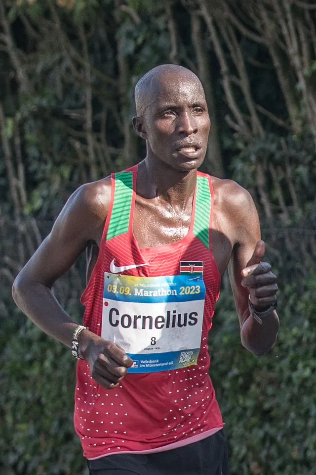 Volksbank Münster Marathon — foto de la carrera