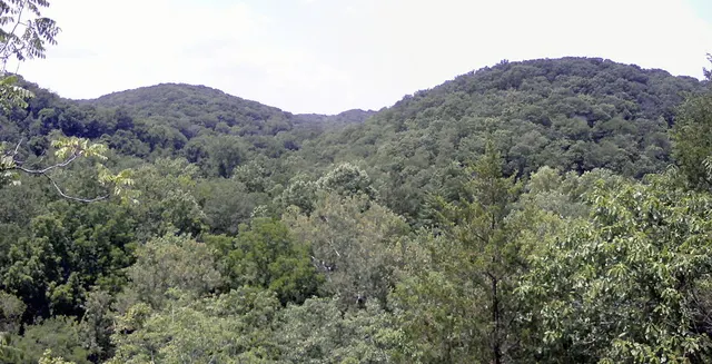 DeClue Loops Trail Race — foto de la carrera