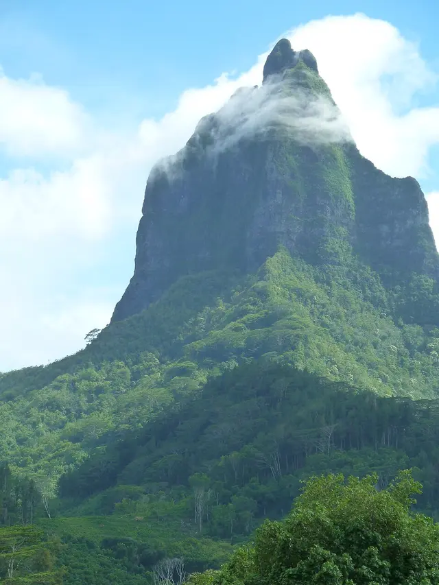 大溪地莫雷阿岛马拉松 赛事照片