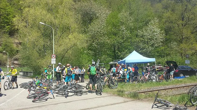 Pfälzerwald Marathon — foto de la carrera
