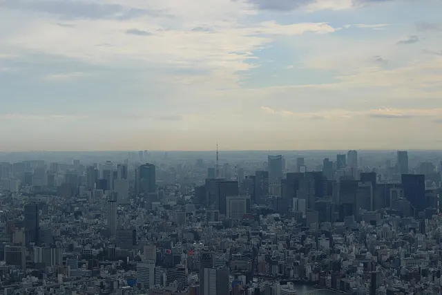 東京 1 英里 賽事照片