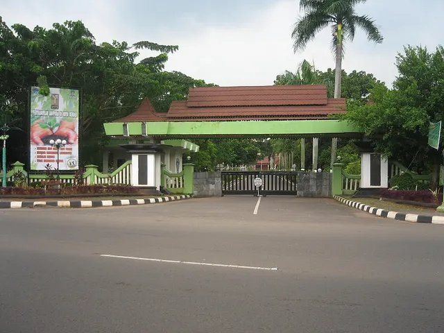 Bekasi Marathon race photo