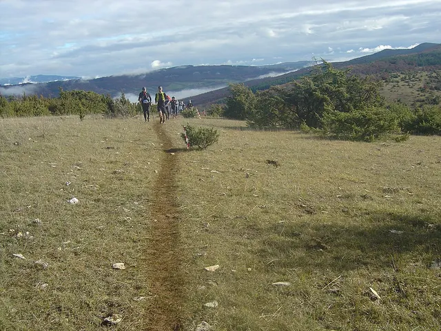 Hivernale des Templiers Laufbild