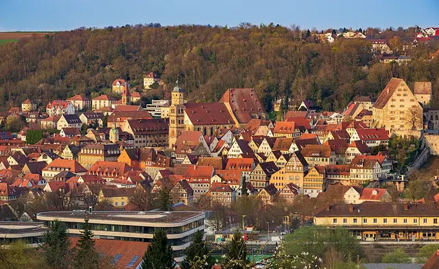 OPTIMA Dreikönigslauf de Schwäbisch Hall — foto de la carrera