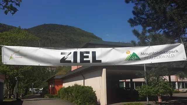 Pfälzerwald Marathon — foto de la carrera