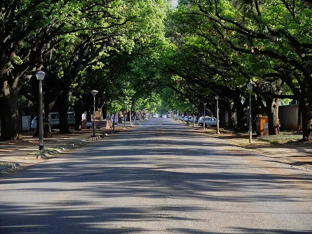 South African 10km Championships — foto de la carrera
