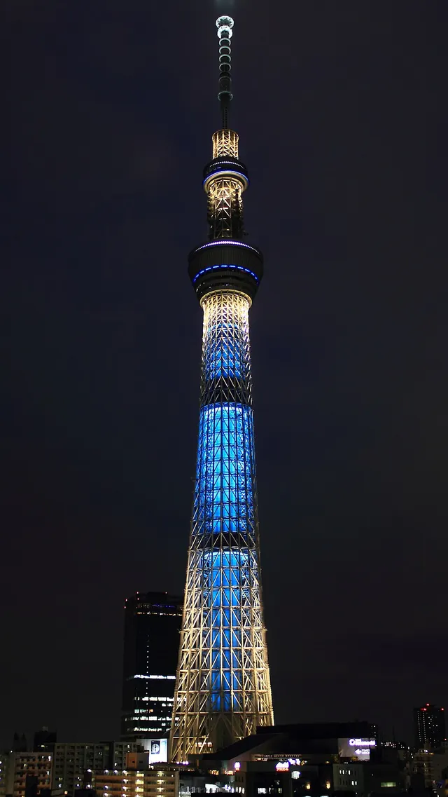 Tokyo Challenge Marathon 2027 Laufbild