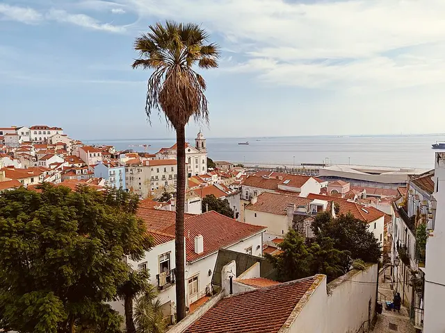 Lisbon Marathon race photo