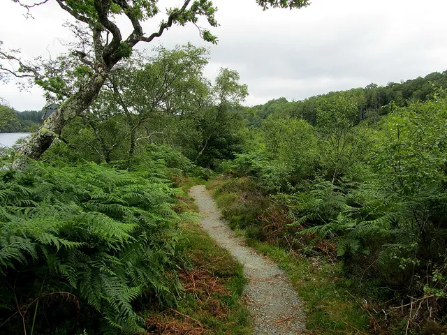 Beaver Trail — foto da prova