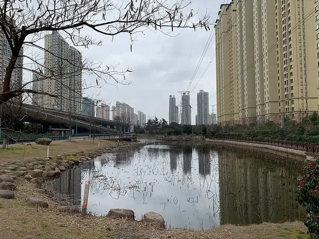 창저우 서태호 하프마라톤 대회 사진