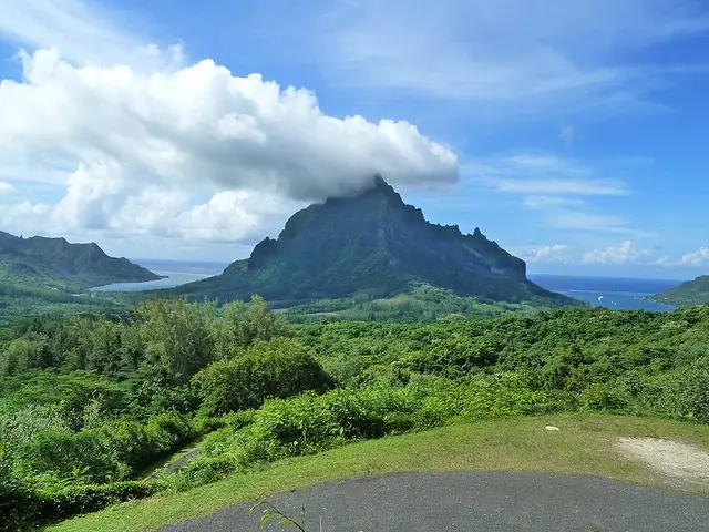 大溪地莫雷阿岛马拉松 赛事照片