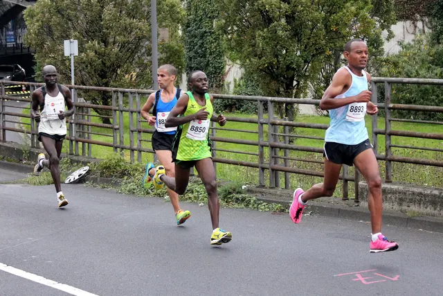 Köln Marathon — foto de la carrera