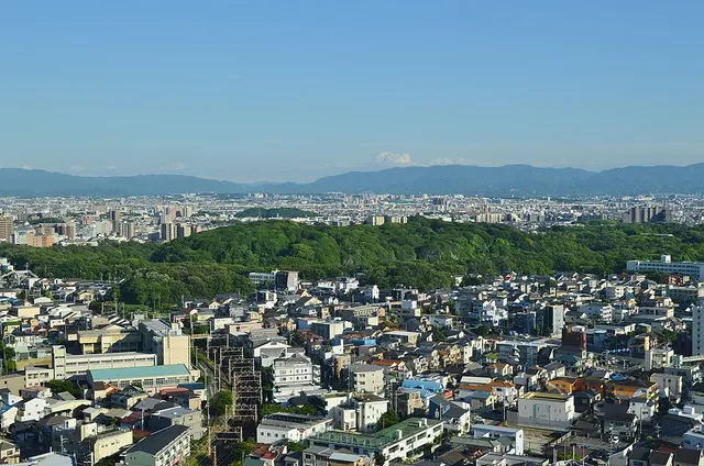 28.° Maratón Ciudadano Yodogawa de Osaka — foto de la carrera