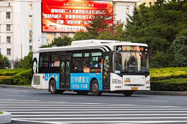 WSE 10KM 오픈 장춘역 대회 사진