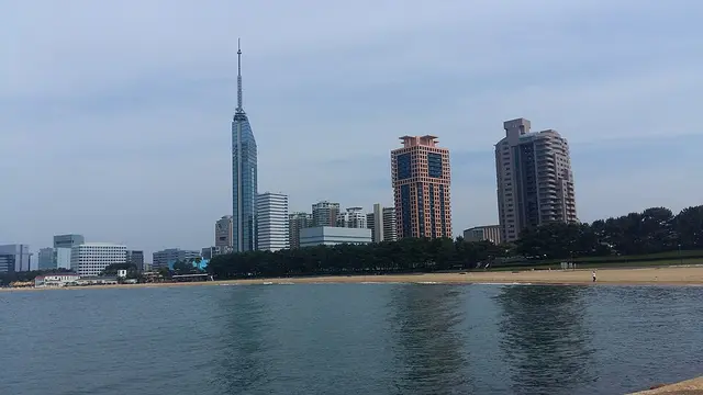 Maratón Internacional de Fukuoka 2026 — foto de la carrera