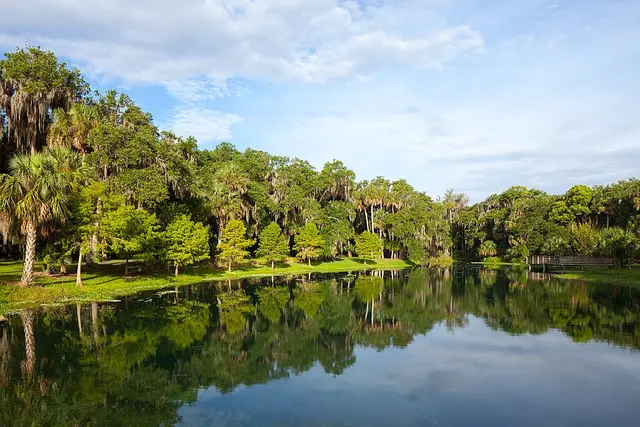 AdventHealth Presents the Central Florida Legends Marathon, Half Marathon and 5K — foto da prova