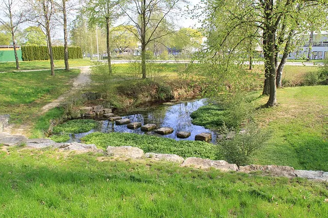 Eselsburger-Tal-Lauf — photo de la course
