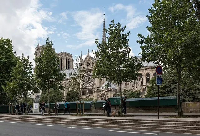 Ảnh giải Course des Lumières - Paris