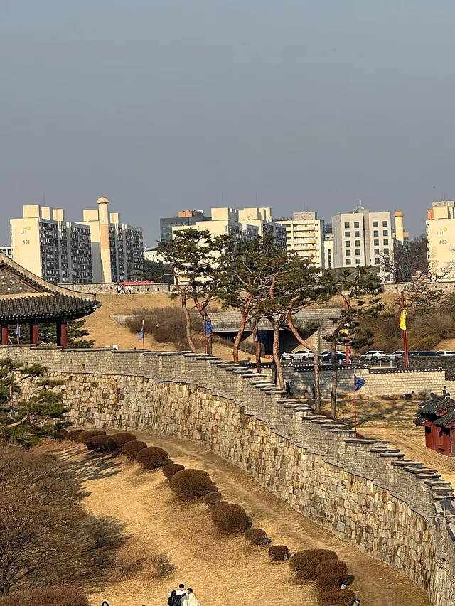 수원국제하프마라톤 대회 사진