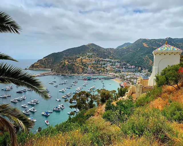 Foto lomba Catalina Island Marathon, 10K, 5K