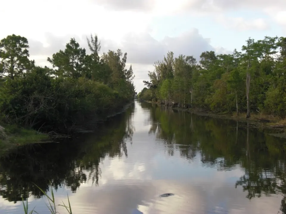 Holiday 5K, 10K, 13.1M & 26.2M at Royal Palm Beach, FL (50) Laufbild