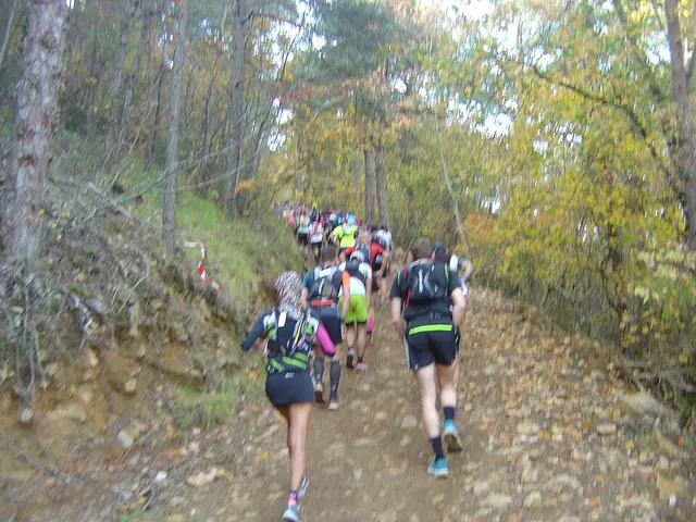 テンプル騎士団フェスティバル 大会写真