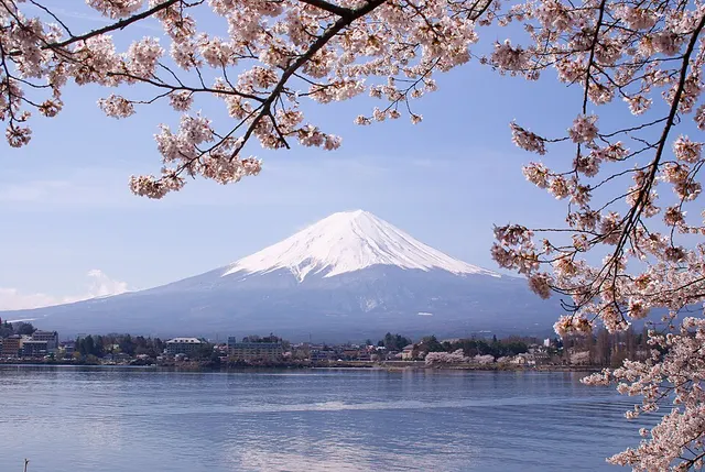第5回つる湧水の里ランフェス 大会写真