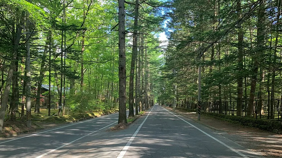 13º Lago Ontake meia maratona — foto da prova