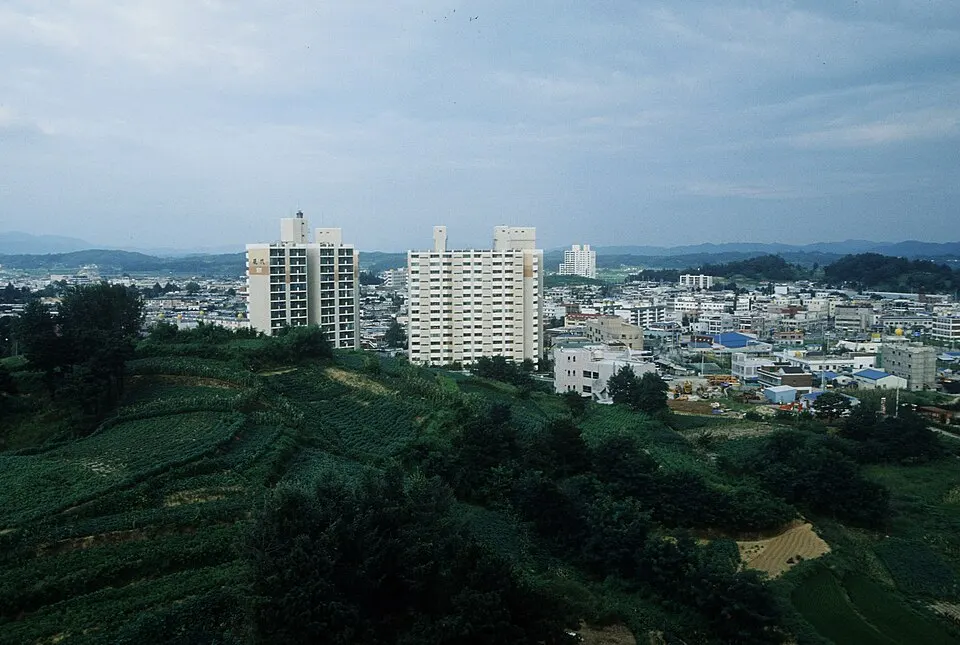 第4屆慶尚北道聞慶市青年日紀念聞慶五味子跑 賽事照片