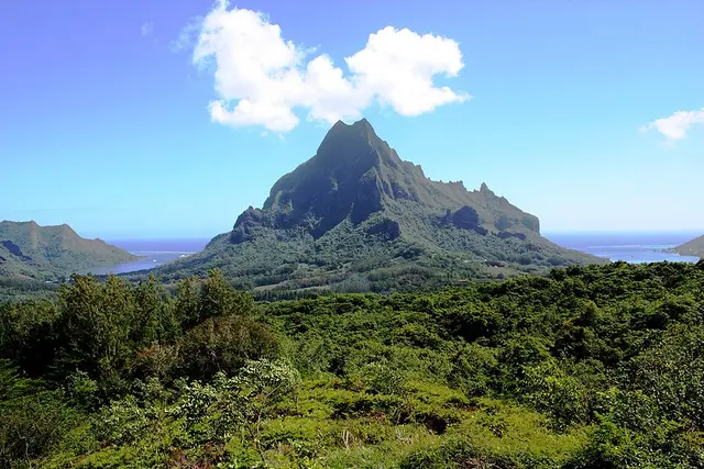 大溪地莫雷阿岛马拉松 赛事照片
