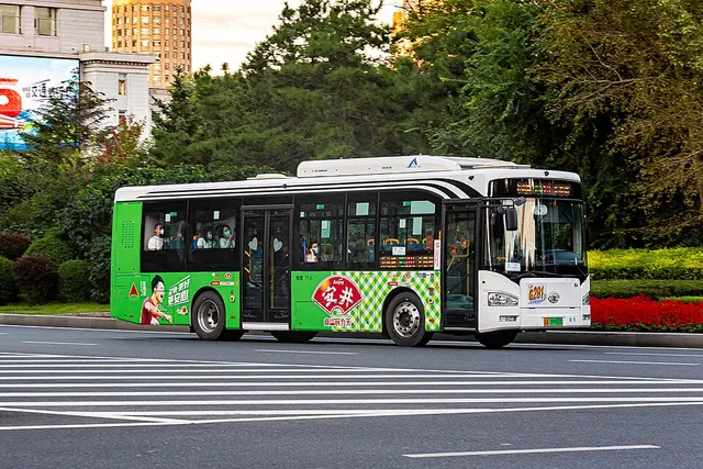 WSE 10KM 오픈 장춘역 대회 사진